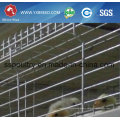 Poultry Hen Cage for Hot Sale